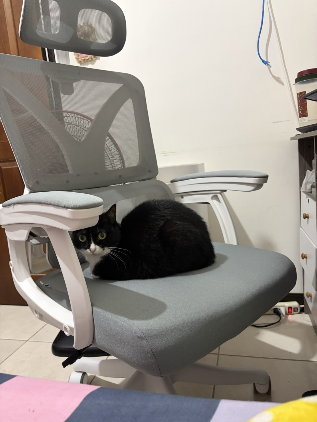 善善坐在老闆椅上監工